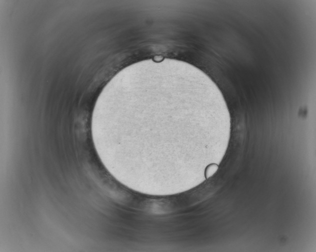 X0000111490275200908251033