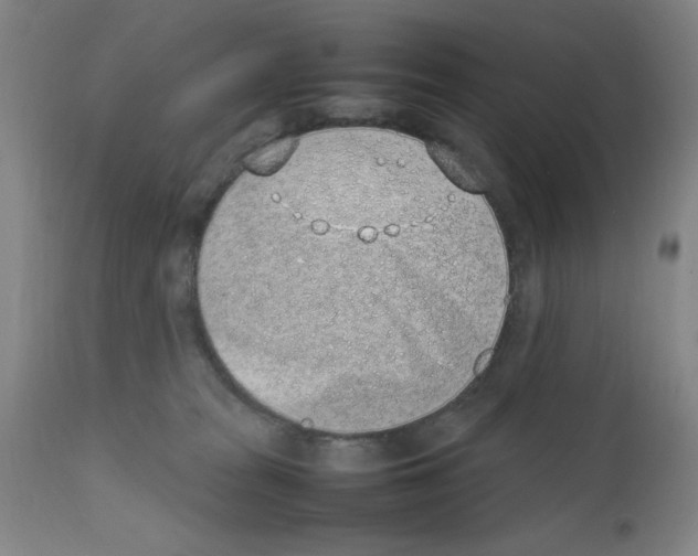 X0000111490277200908251033