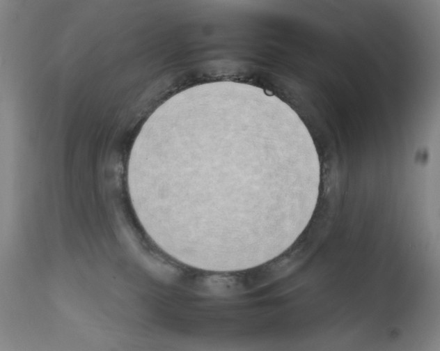 X0000111490279200908251033