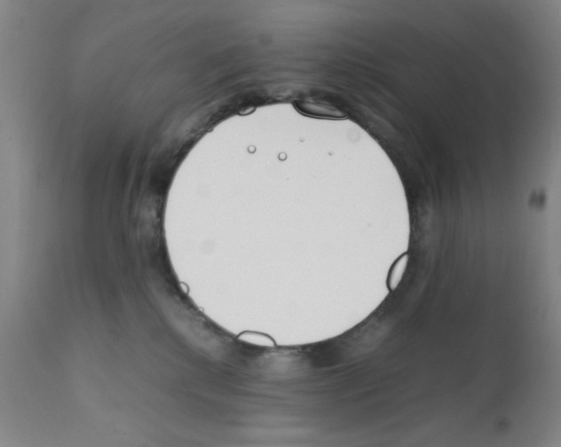 X0000111490280200908251033