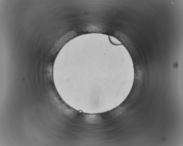 X0000111490281200908251033