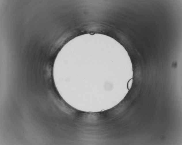 X0000111490282200908251033