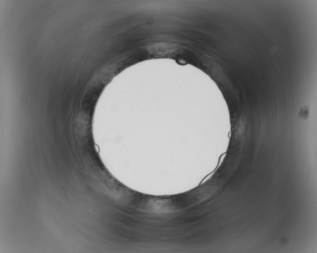 X0000111490283200908251033
