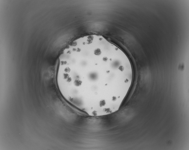X0000111490284200908251033