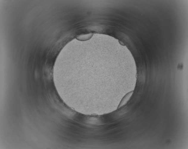 X0000111490285200908251033