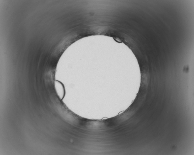 X0000111490286200908251033