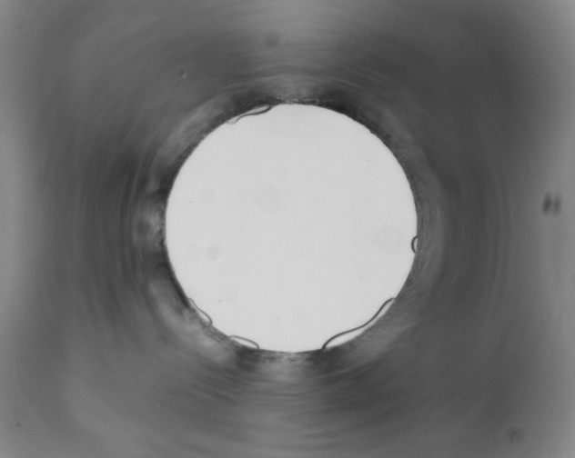 X0000111490288200908251033