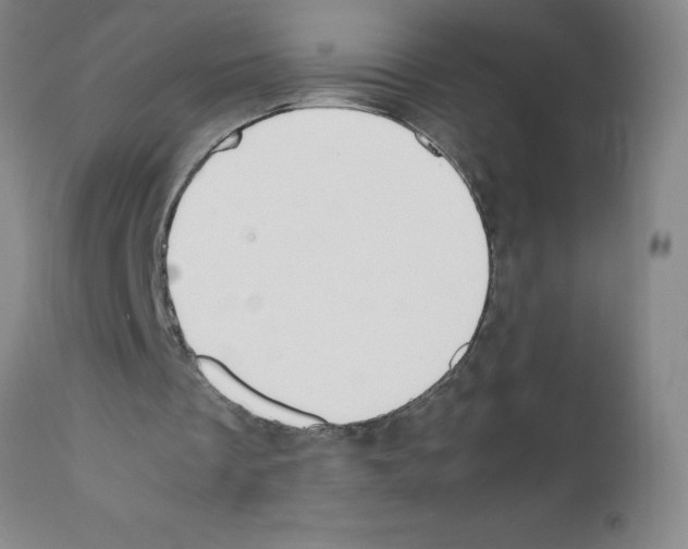 X0000111490289200908251032