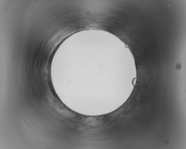 X0000111490290200908251032