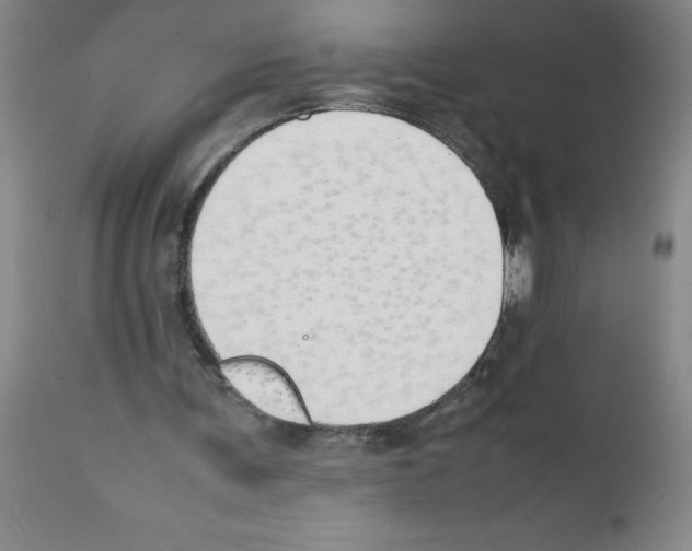 X0000111490291200908251032
