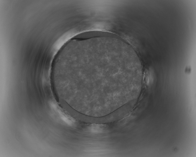 X0000111490292200908251032