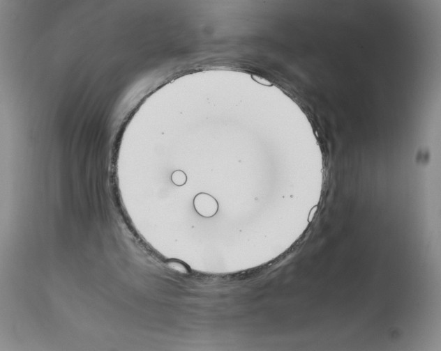 X0000111490293200908251032