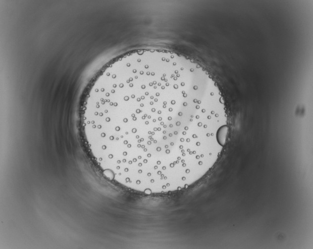 X0000111490294200908251032