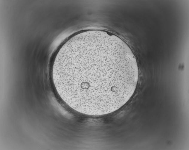 X0000111490296200908251032