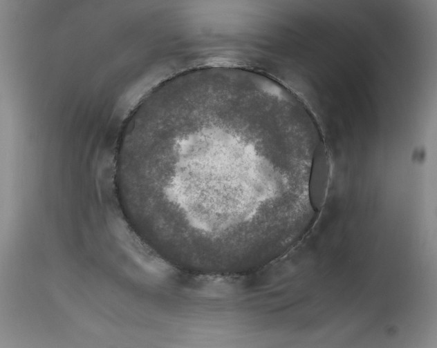 X0000111490297200908251032