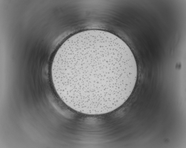 X0000111490298200908251032