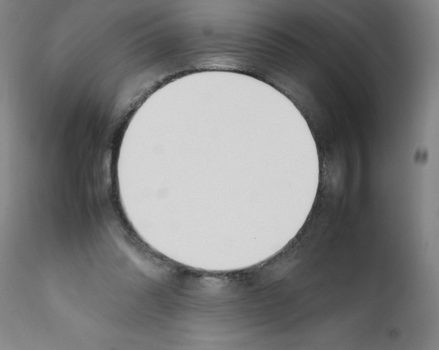 X0000111490302200908251032