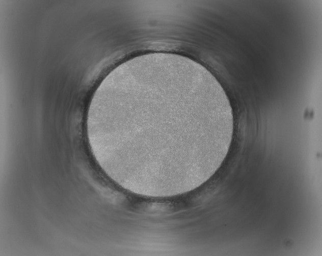 X0000111490303200908251032