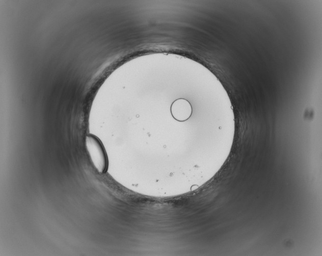 X0000111490304200908251032
