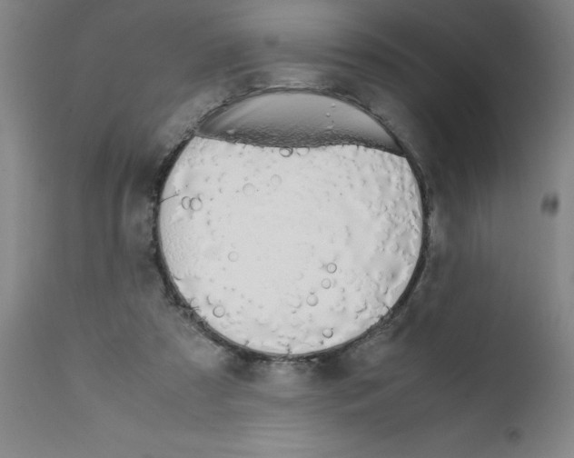 X0000111490305200908251032