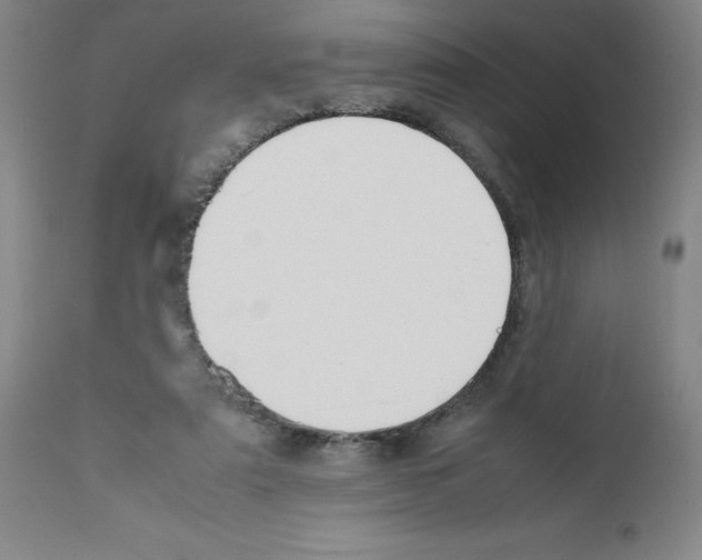 X0000111490307200908251032