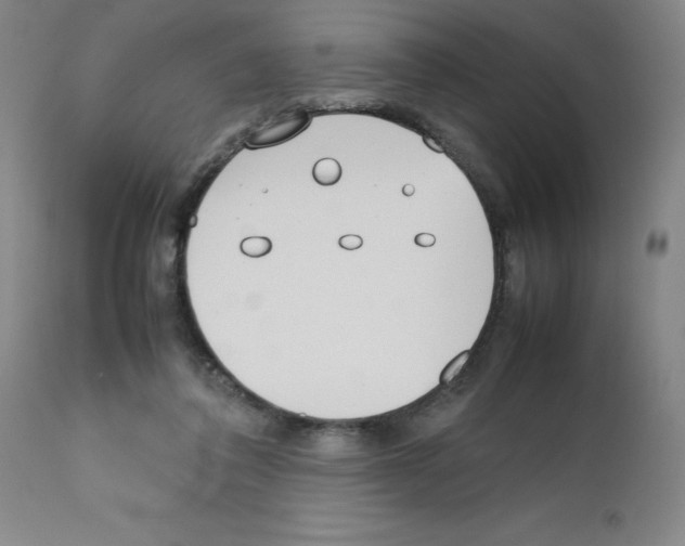 X0000111490308200908251032