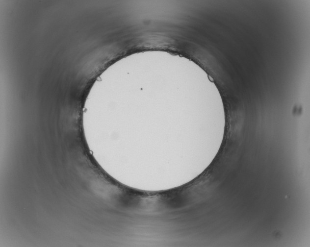 X0000111490309200908251032