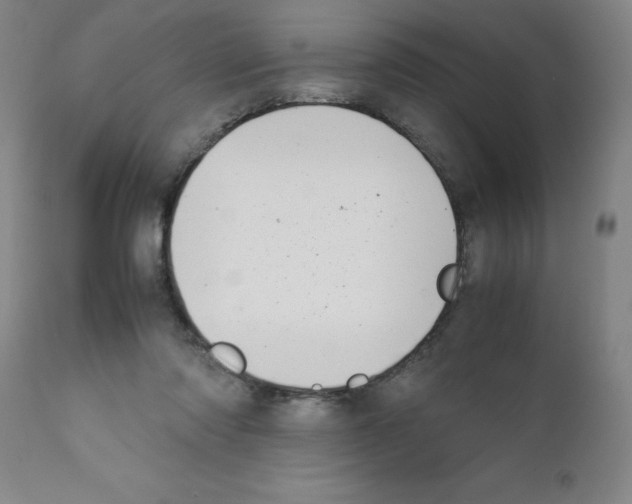 X0000111490310200908251032