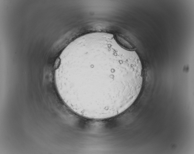 X0000111490313200908251032