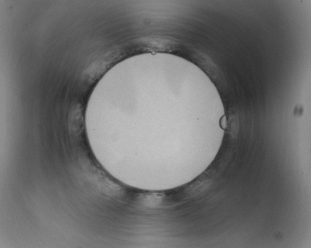 X0000111490318200908251031