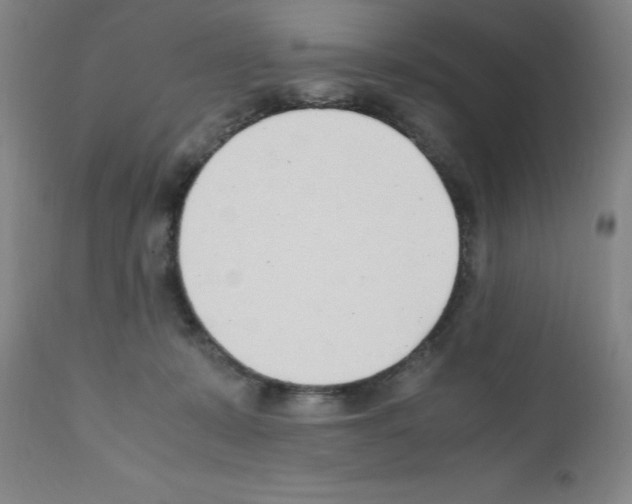 X0000111490319200908251031