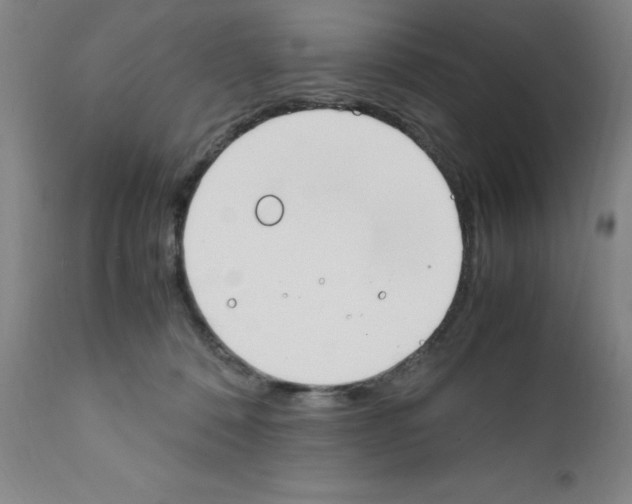 X0000111490320200908251031