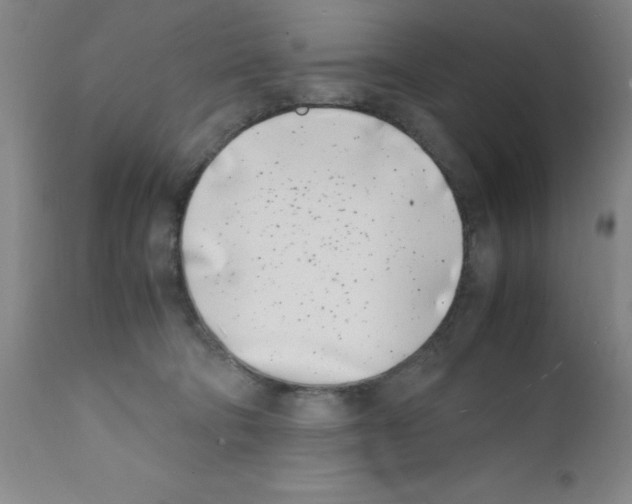 X0000111490322200908251031