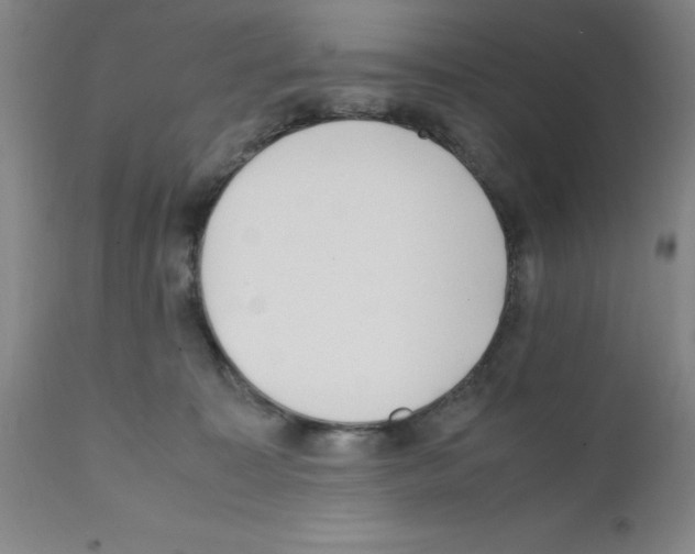 X0000111490323200908251031