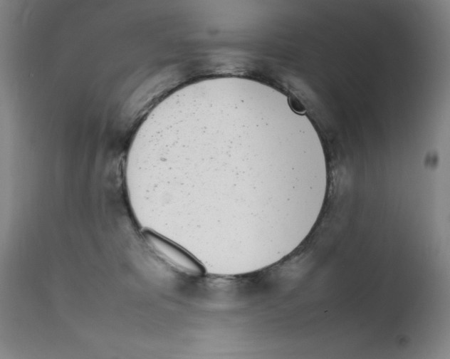 X0000111490325200908251031