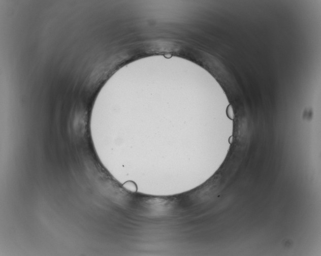 X0000111490326200908251031