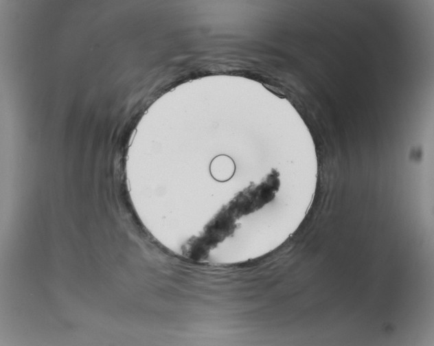 X0000111490327200908251031