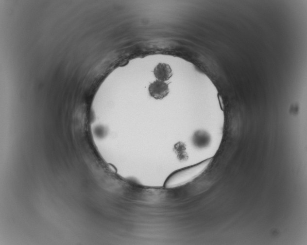 X0000111490328200908251031