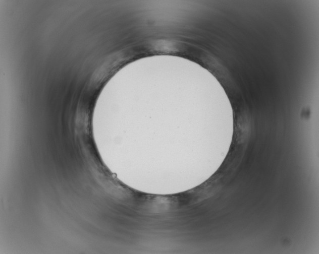 X0000111490330200908251031