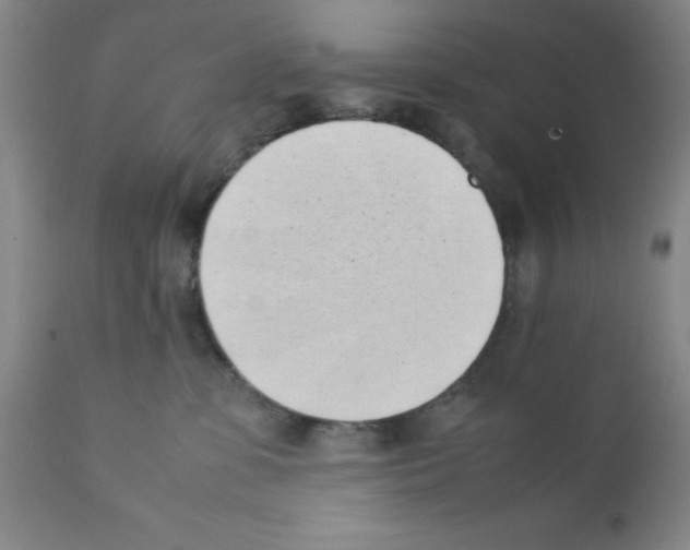 X0000111490331200908251031