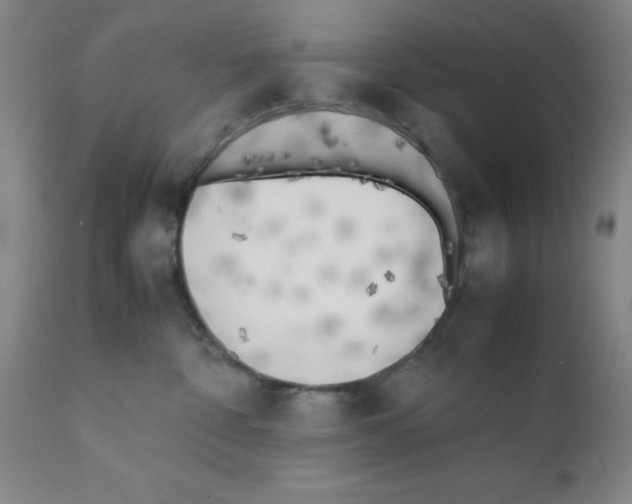 X0000111490332200908251031