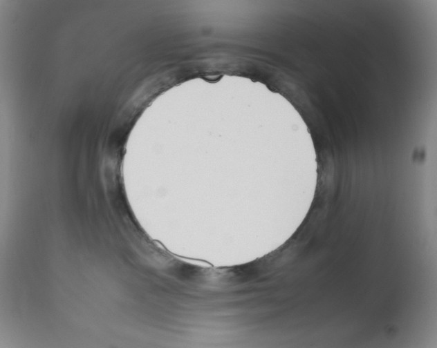 X0000111490333200908251031