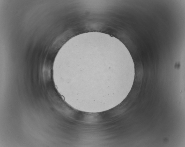 X0000111490334200908251031