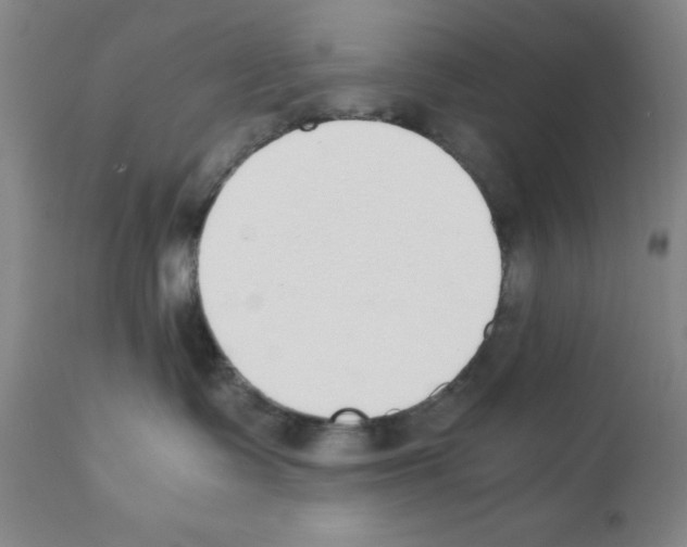 X0000111490335200908251031