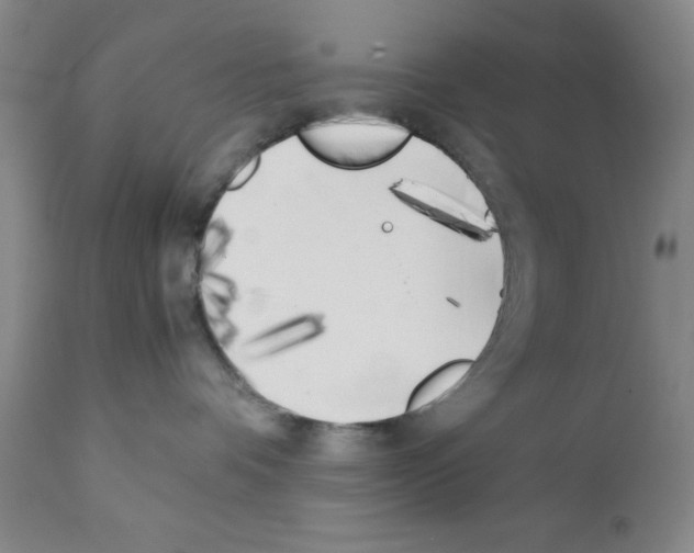 X0000111490336200908251031