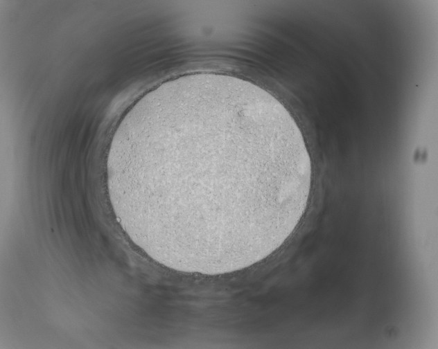 X0000111490337200908251030