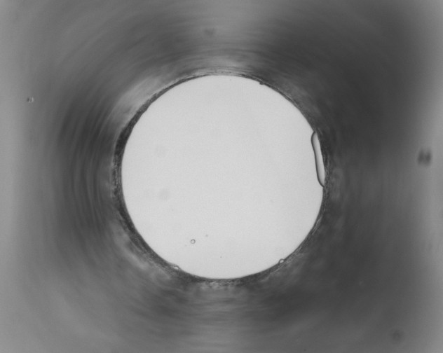 X0000111490338200908251030