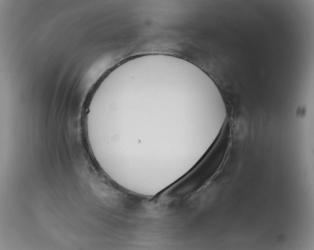 X0000111490340200908251030