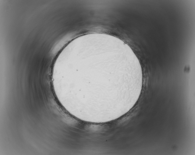 X0000111490341200908251030