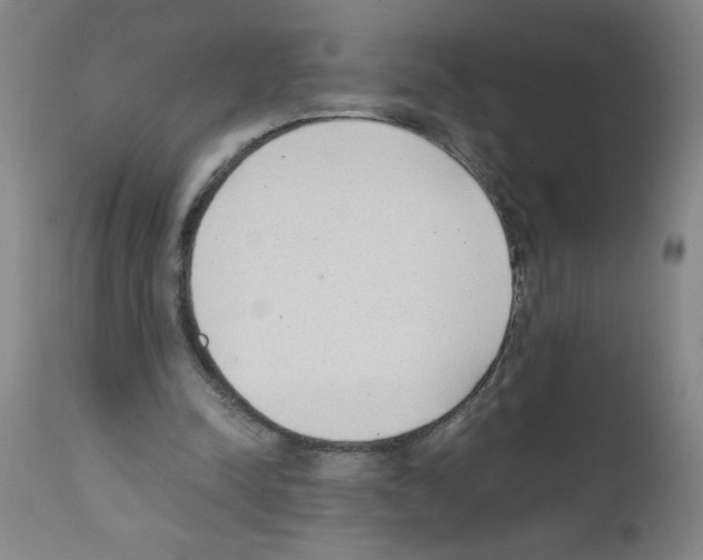 X0000111490342200908251030